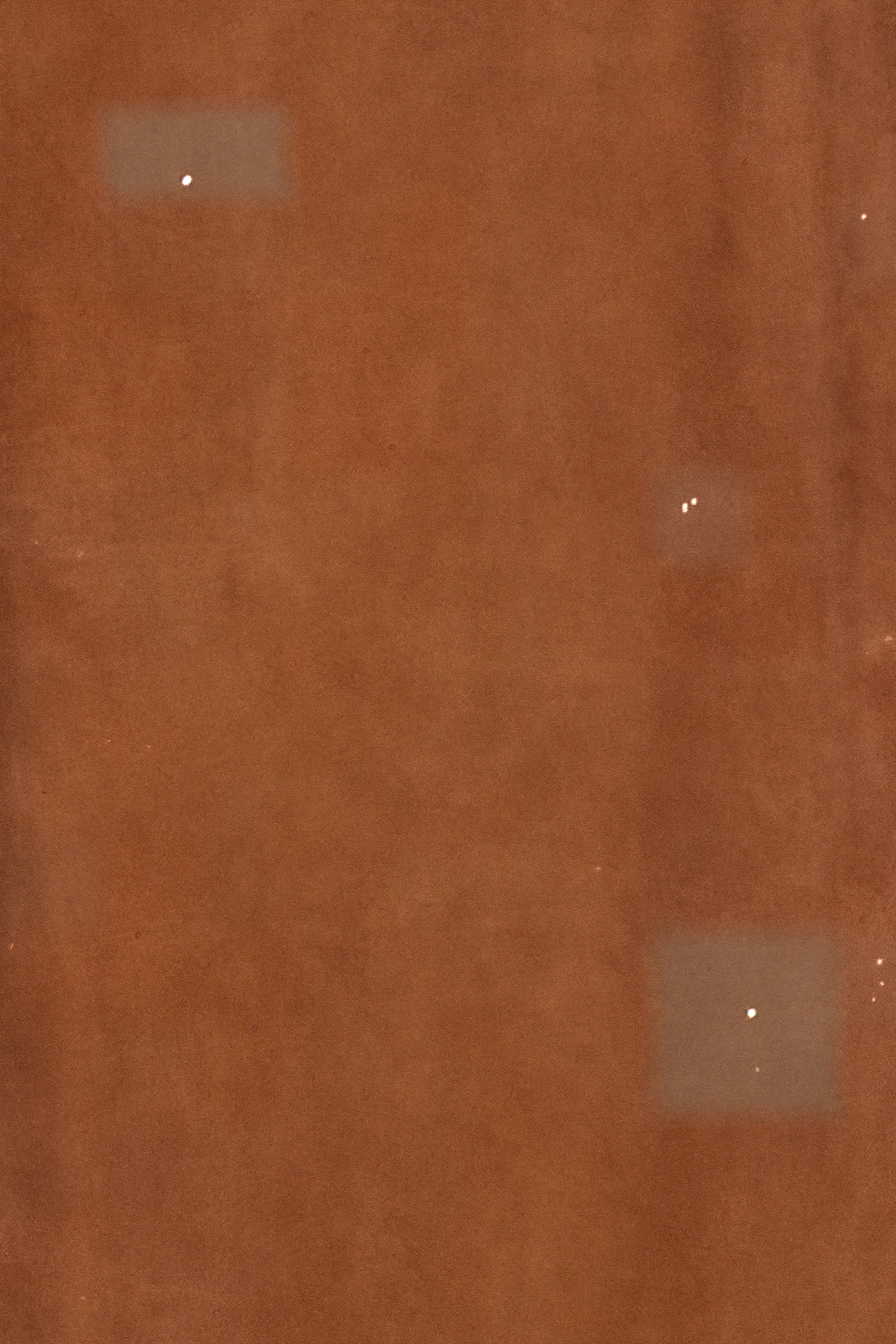 BABBO SUEDE COGNAC 3