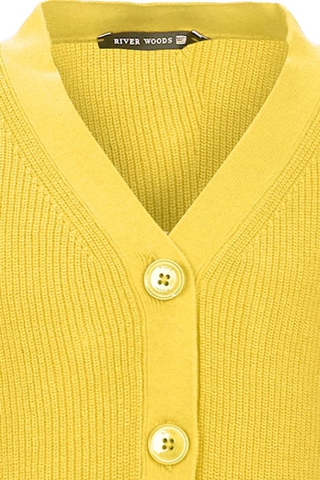 RG20S-C9124_A-000_BAN YELLOW 2