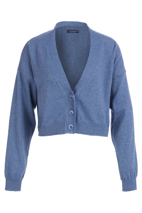 BASIC V-NECK CARDI LS BLUE 1