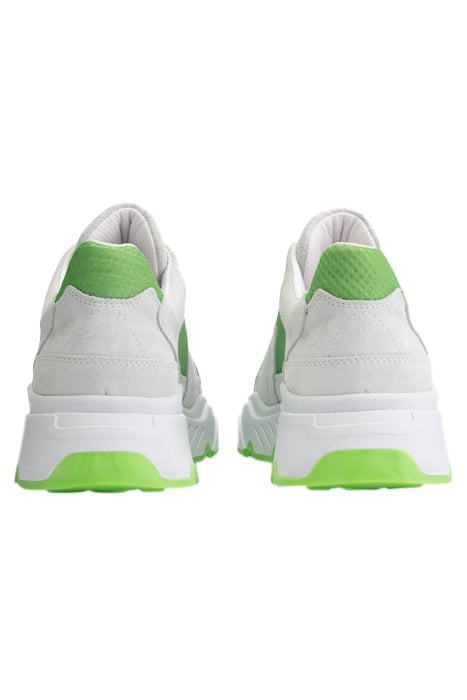 DESSIE SNEAKERS SPRING GREEN 5