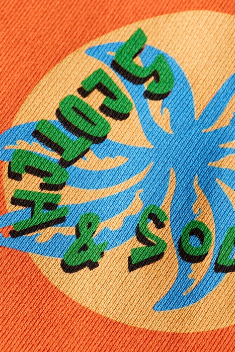 GARMENT-DYED ARTWORK SWEATSHIR LIFE BUOY 8