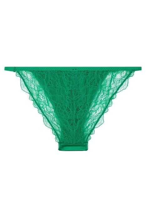 WILD ROSE BRIEF GREEN 2