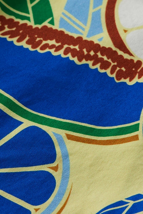 BOYS ALL-OVER PRINTED CHINO SHORTS FRUITS ALLOVER 8