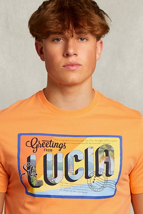 NORMAL FIT T-SHIRT IN SUNRISE ORANGE 4