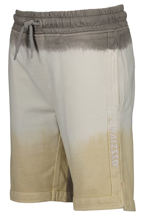 BOYS BENSON SHORTS GREY FOG 5