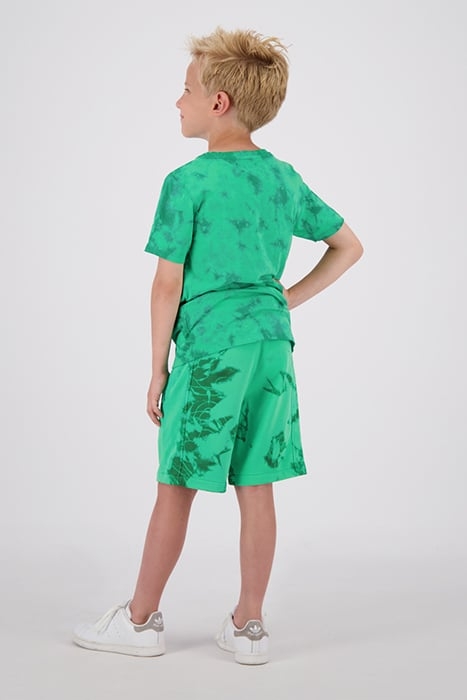 BOYS BRANDON SHORTS GREEN SPORTS 2