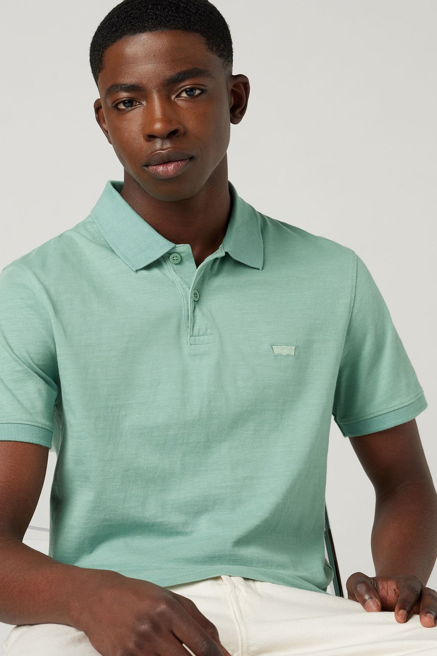 SLIM HOUSEMARK POLO 5