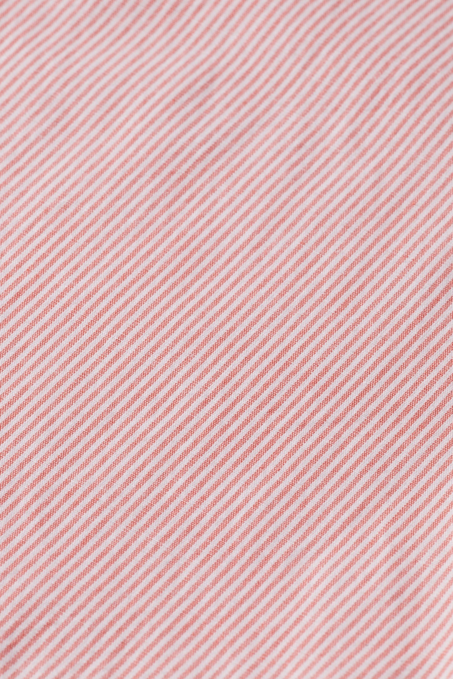 SEASONAL ESSENTIALS POPLIN STRIPED SHIRT PINK STRIPE 3