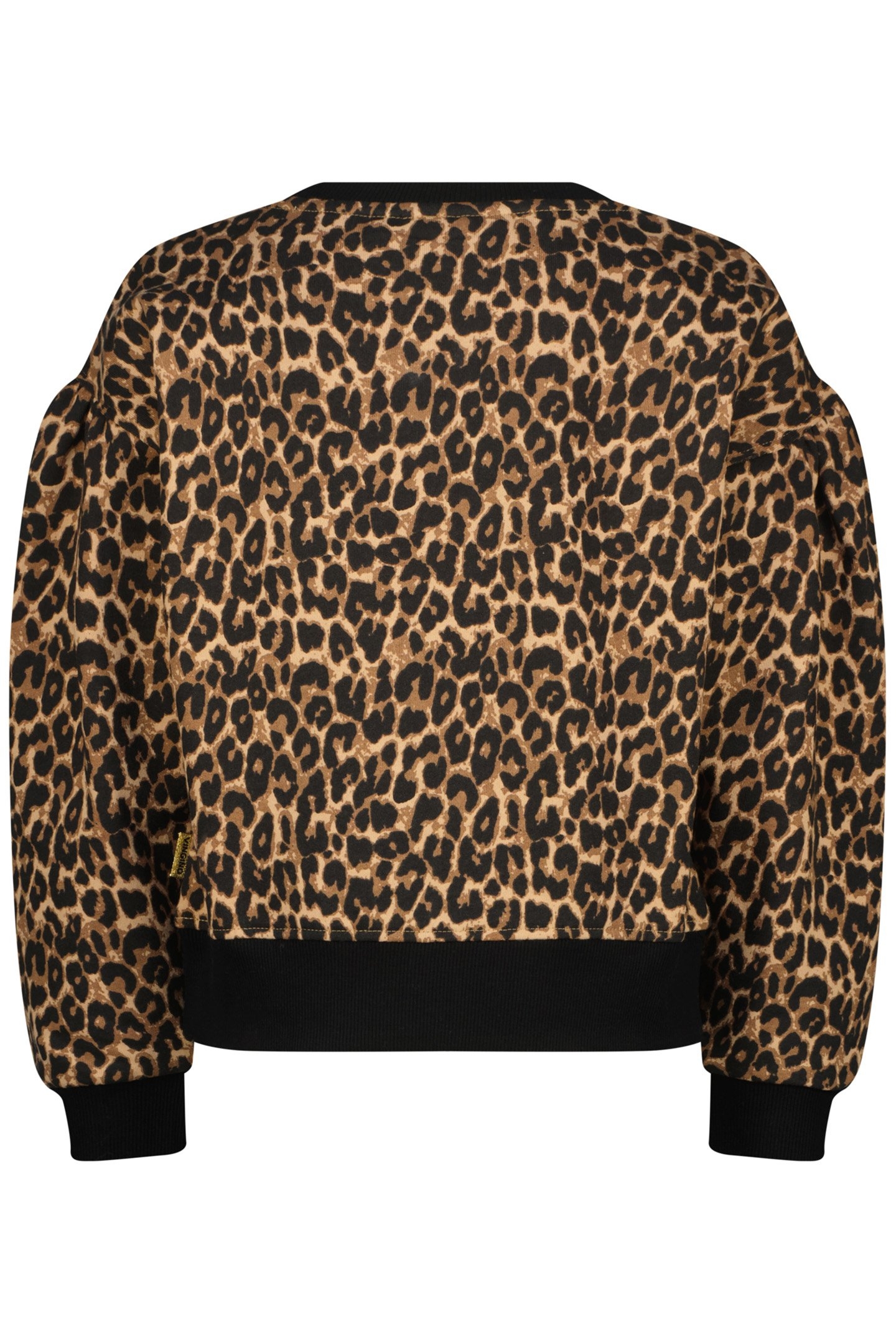 NORIEN MULTICOLOR BROWN 2