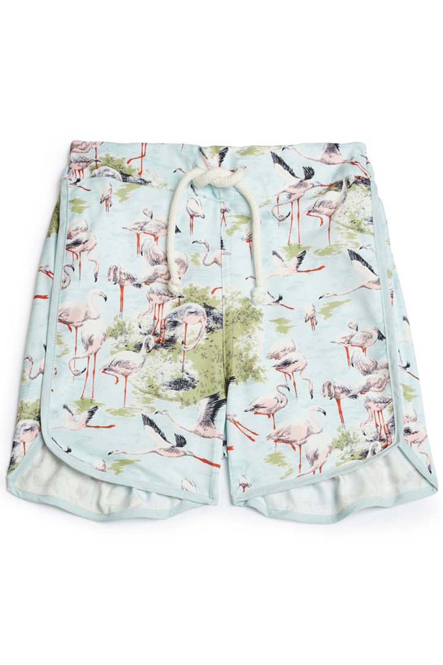 SWIM SHORTS ADERI ACQUA DARJ FLAMINGO 2
