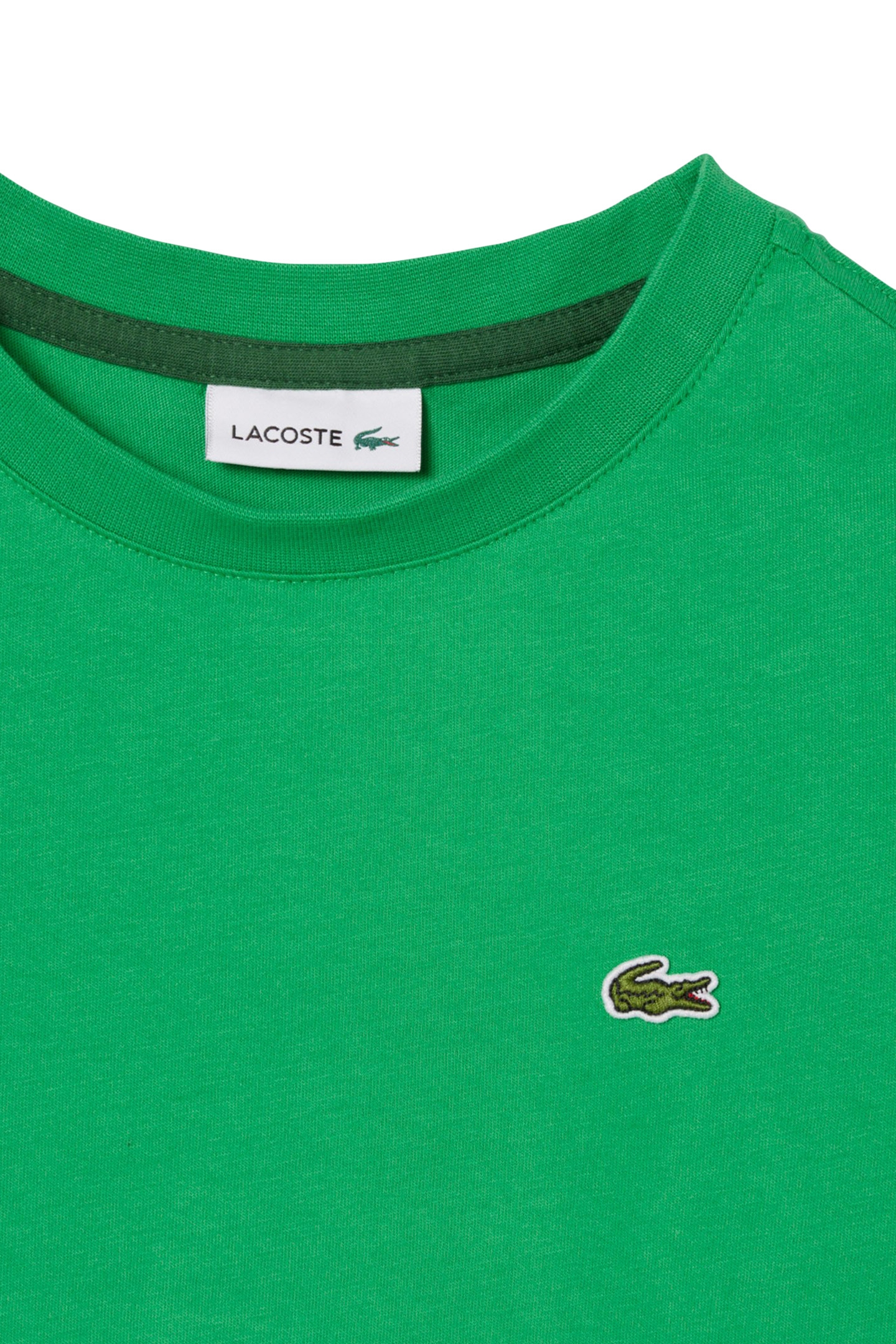 CHILDREN T-SHIRT CALATHEA 7