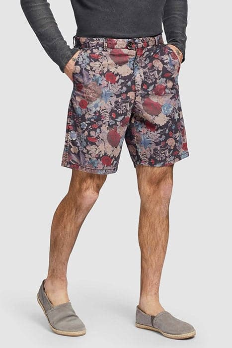 Lazy Image