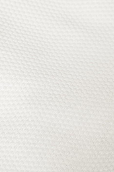 Lazy Image