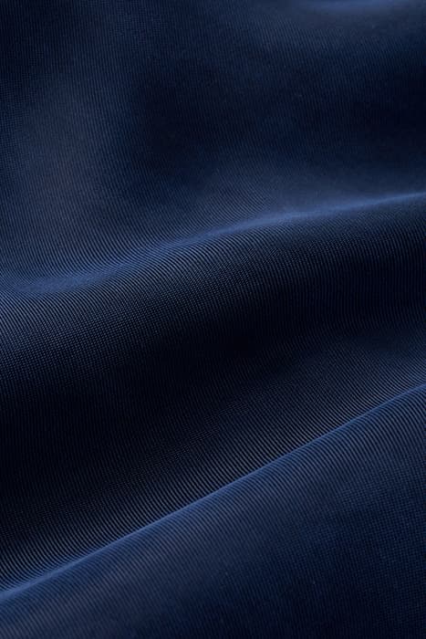 Lazy Image