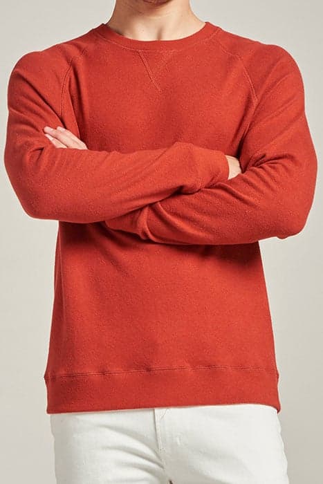 Lazy Image