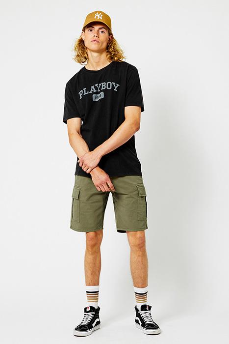 Lazy Image