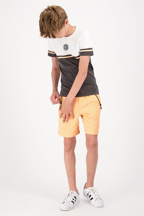 Lazy Image