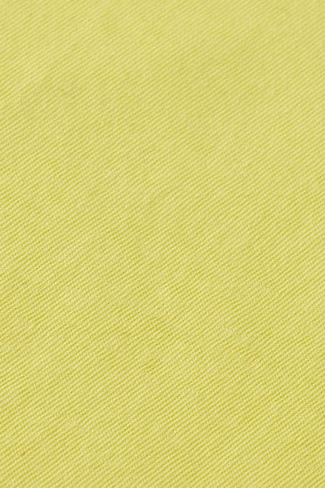 Lazy Image