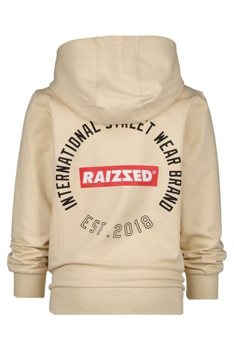 Lazy Image
