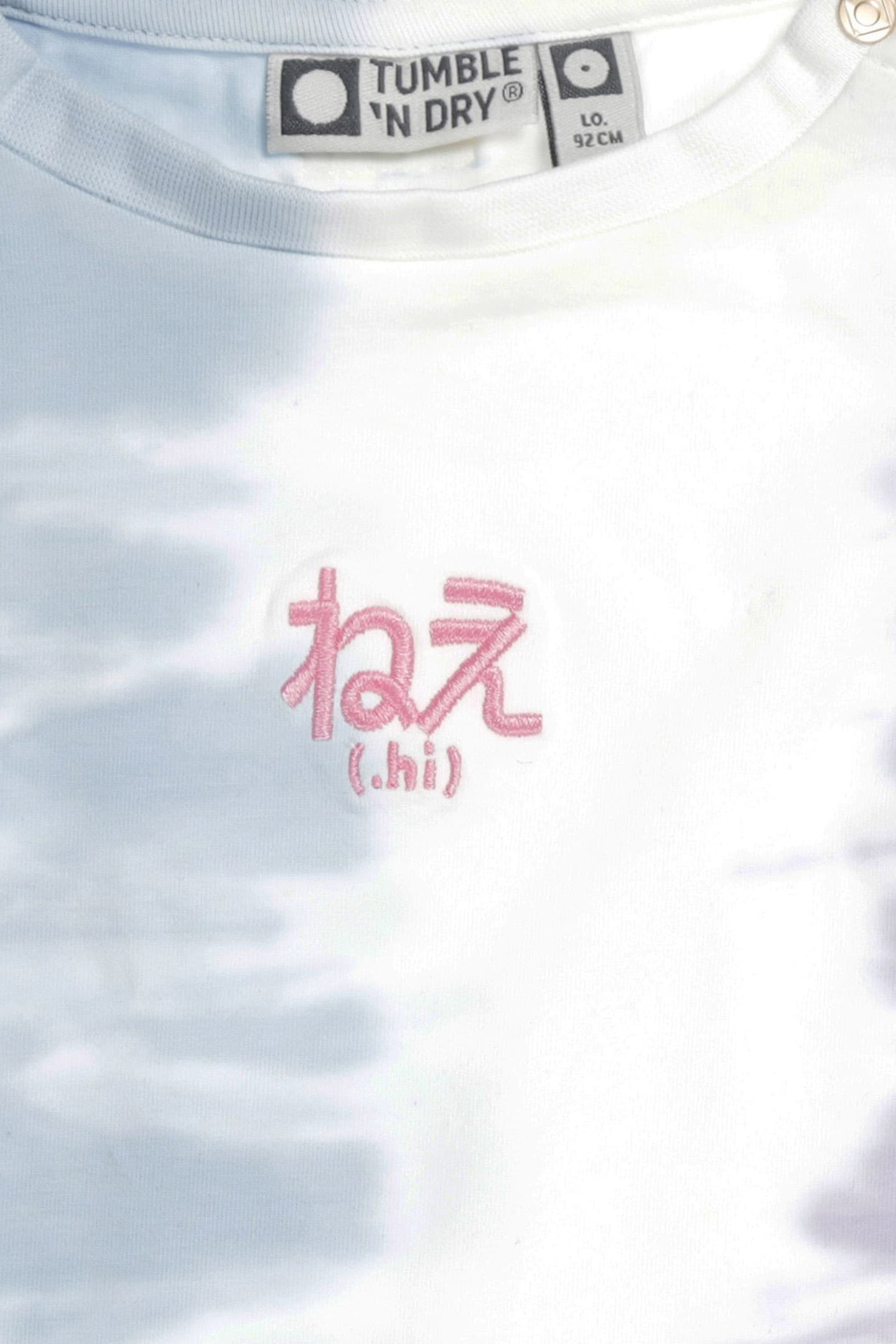 Lazy Image