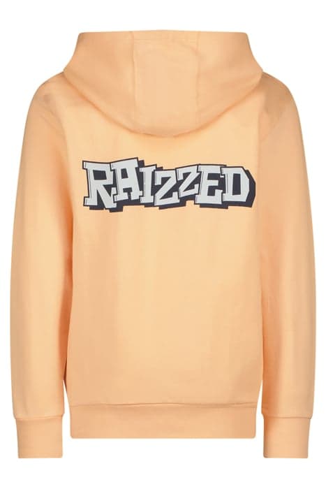 Lazy Image