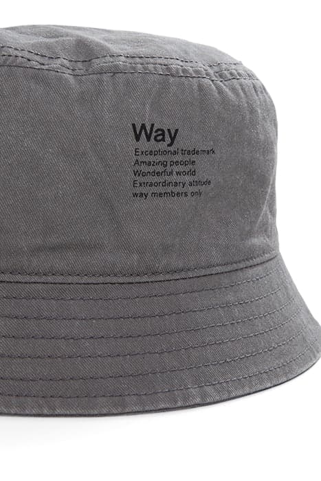 Lazy Image