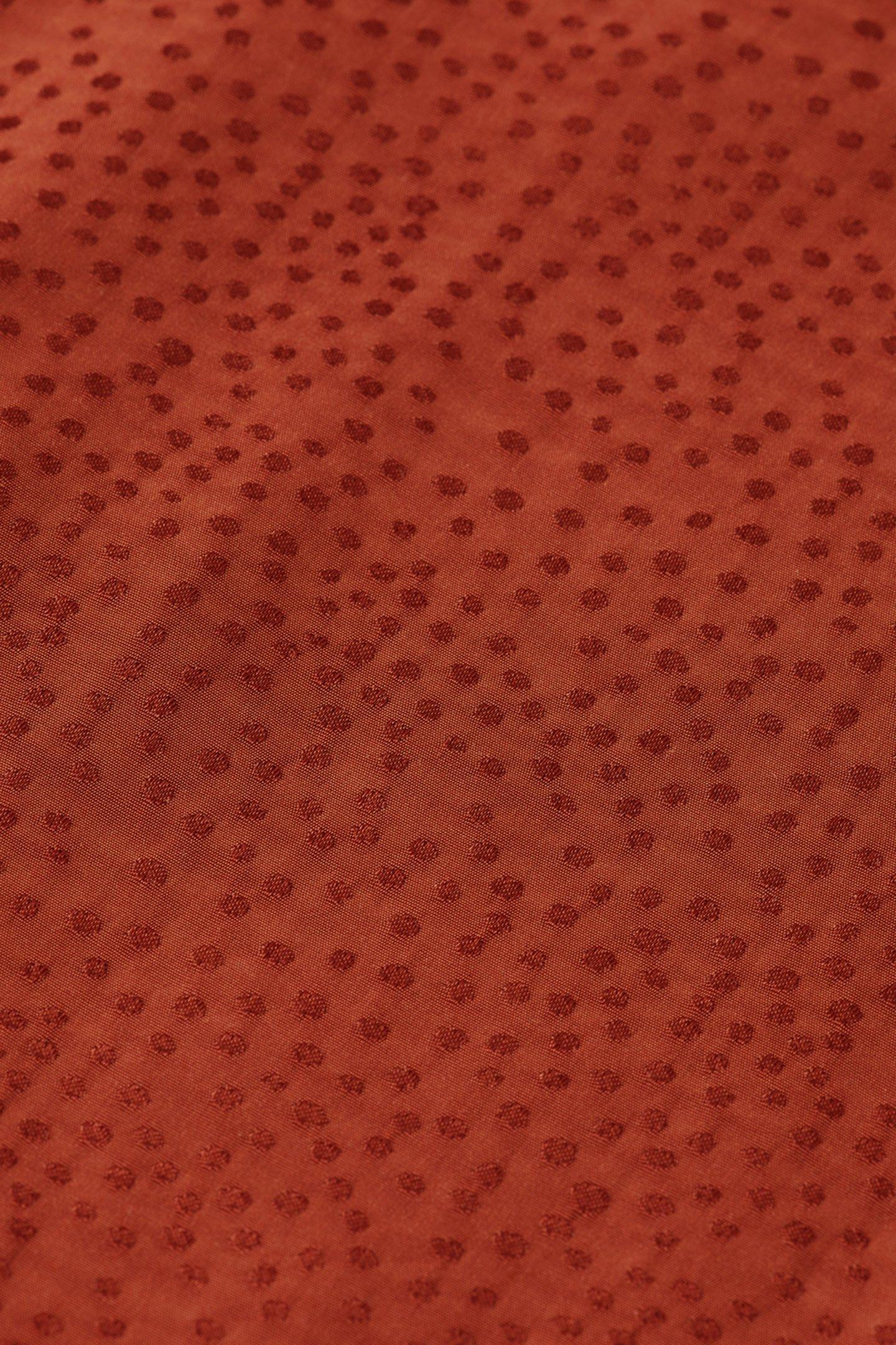 Lazy Image