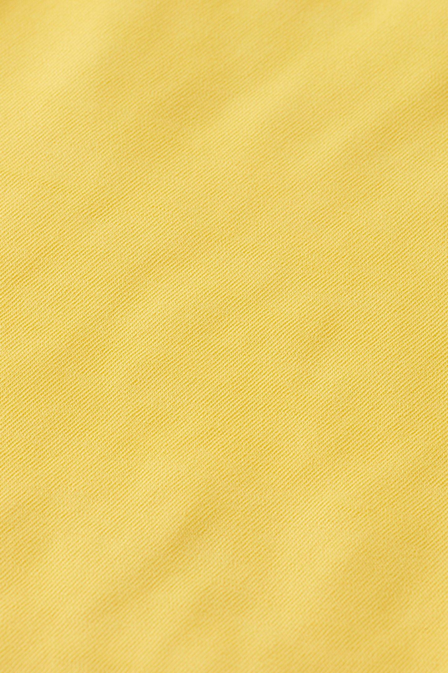Lazy Image