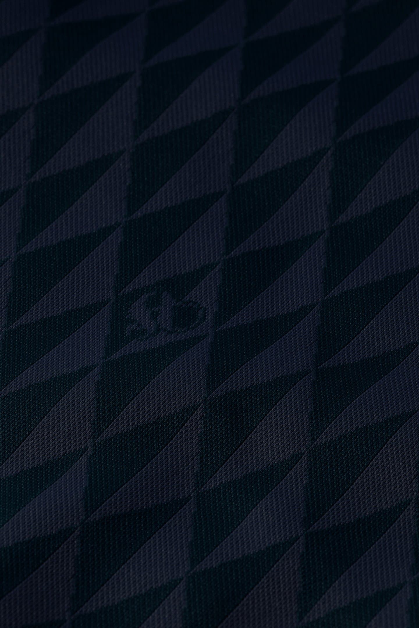 Lazy Image