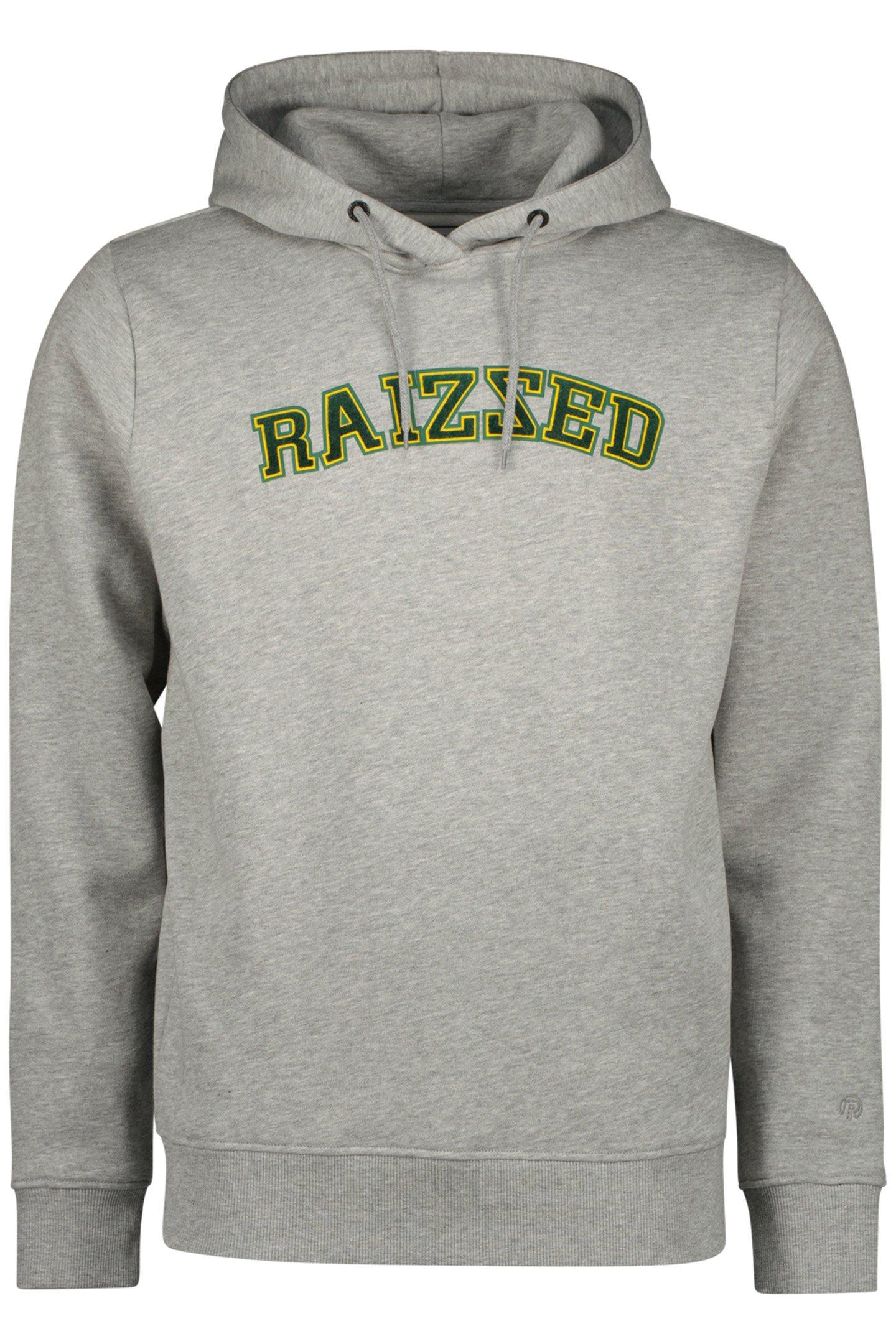 Lazy Image