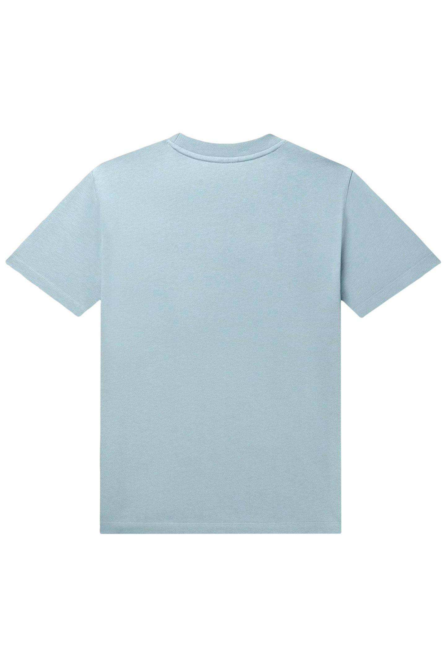 Lazy Image
