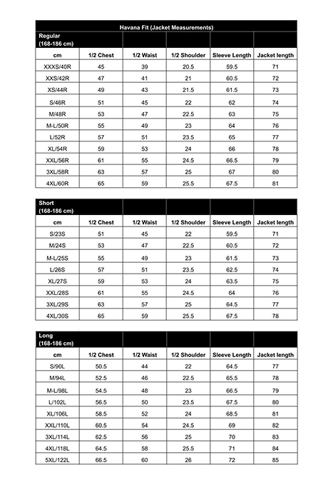 Blue Striped Havana Blazer 3