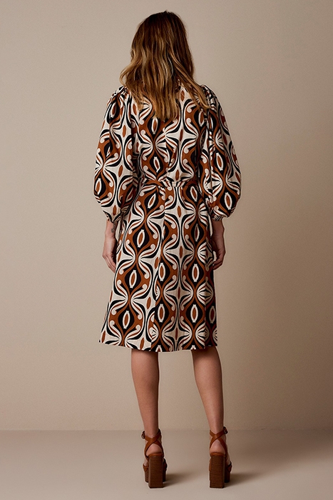 DRESS ORNAMENT PRINT MULTICOLOUR 2