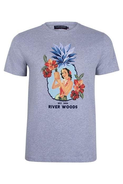 BASIC COTTON T-SHIRT IN GREY 1