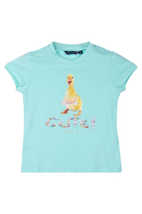 BASIC CREWNECK T-S SS GREEN 1