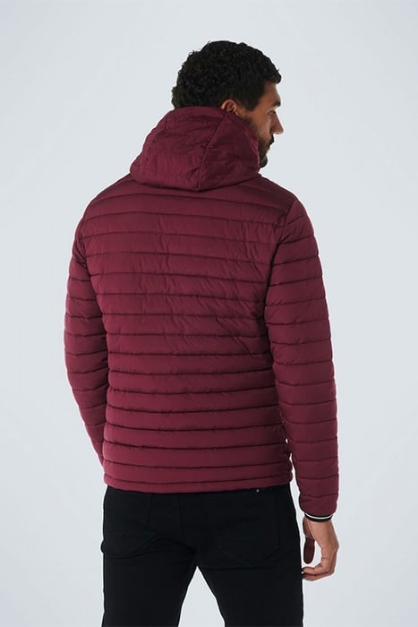JACKET HOODED SHORT FIT PADDED DARK RED 2