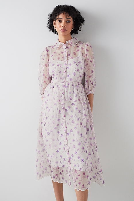 DR FRINK - SILK WEAVERS MULTI 1