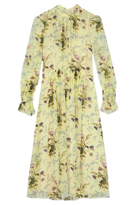 DR ELOISE - MEADOW SCENE MULTI 4