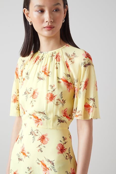 DR ELOWEN - GIANT POPPY MULTI 4