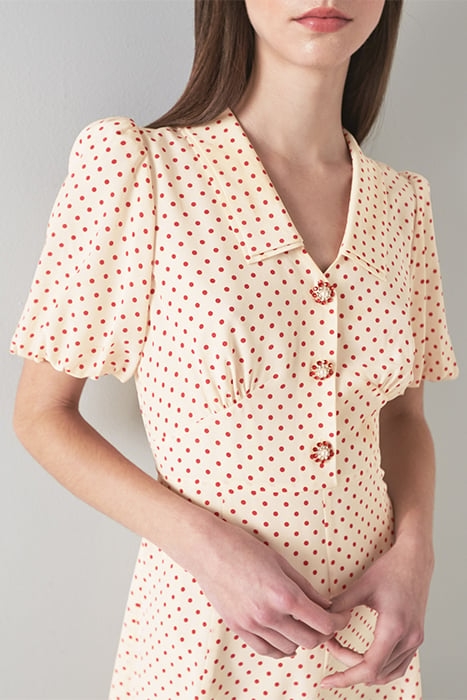 DR HILDE - 30'S SPOT PRIN MULTI 5