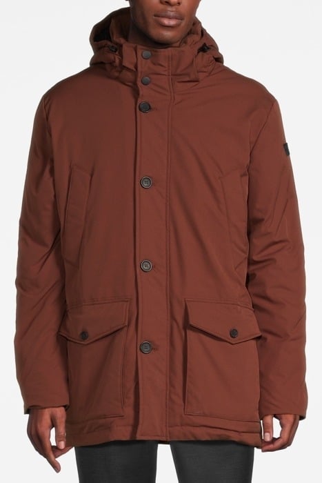 EAGLE & BROWN CHESTNUT 1