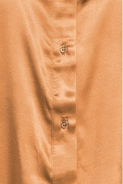 LOUISE SHIRT CAMEL 5
