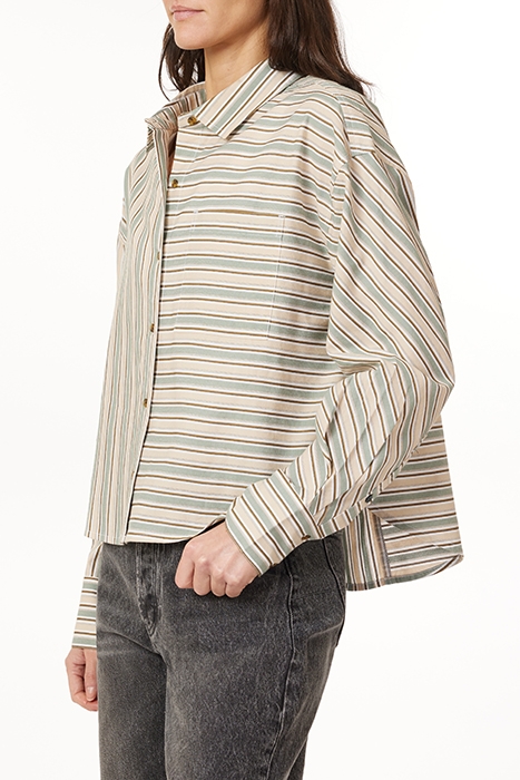 STRIPE CROP SHIRT DARK FOREST 3