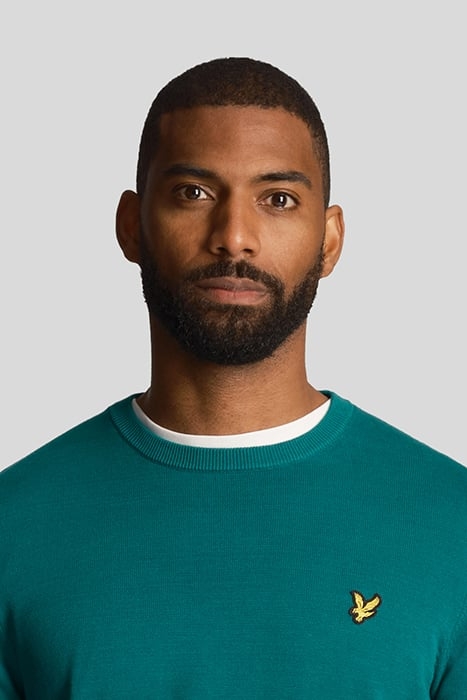 COTTON CREW NECK JUMPER COURT GREEN 5