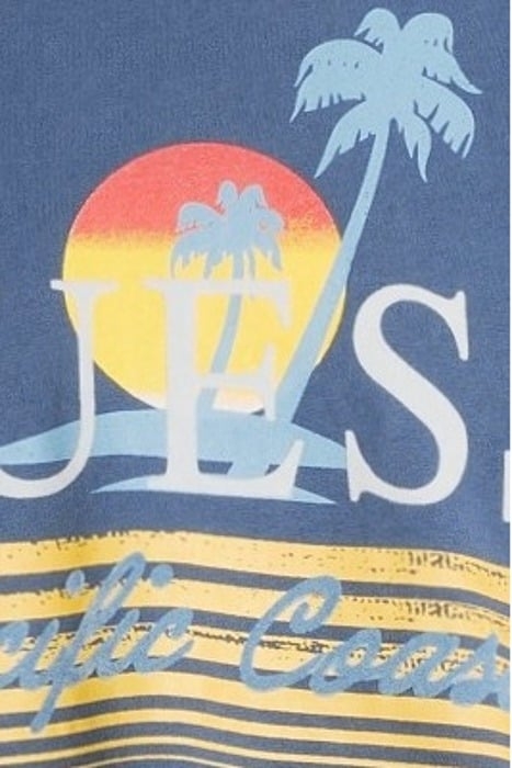 GUESS ECO SS BSC PACIFIC COAST MOJAVE STONE MULTI 5