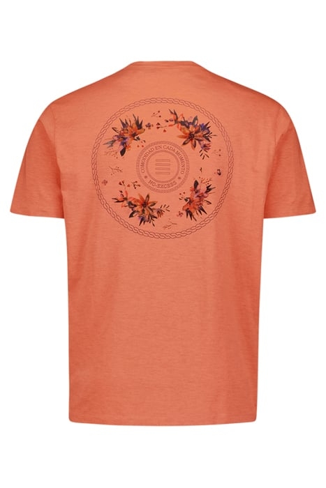 T-SHIRT V-NECK MELANGE GARMENT DYED PLACED PRINT MELON 5