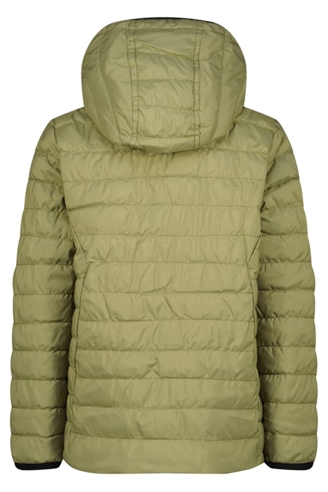 TOSPO LAUREL GREEN 4