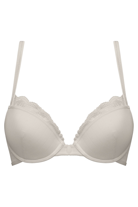 THE MAURITSHUIS IVORY 3