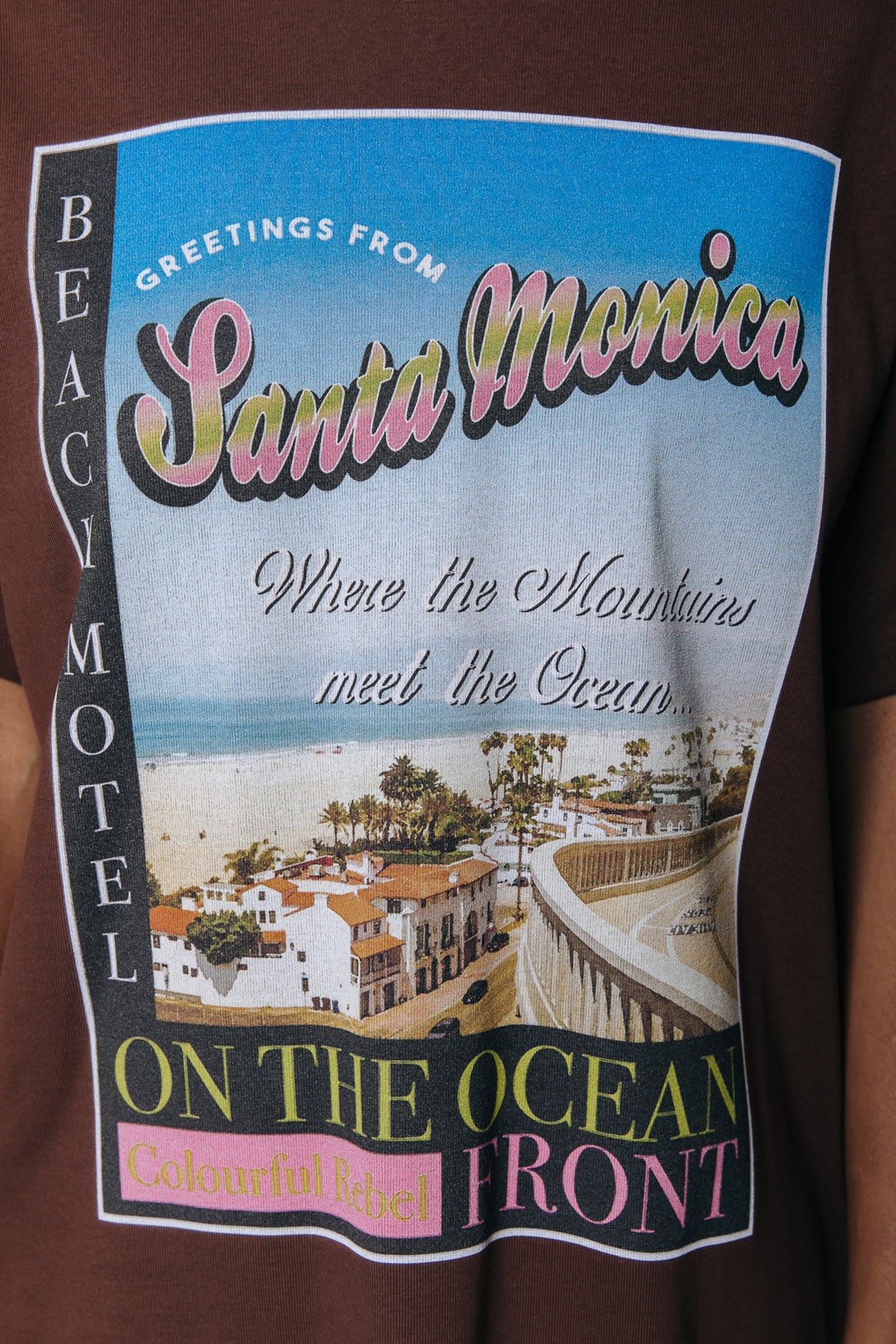 SANTA MONICA LOOSEFIT TEE DRESS BROWN 4