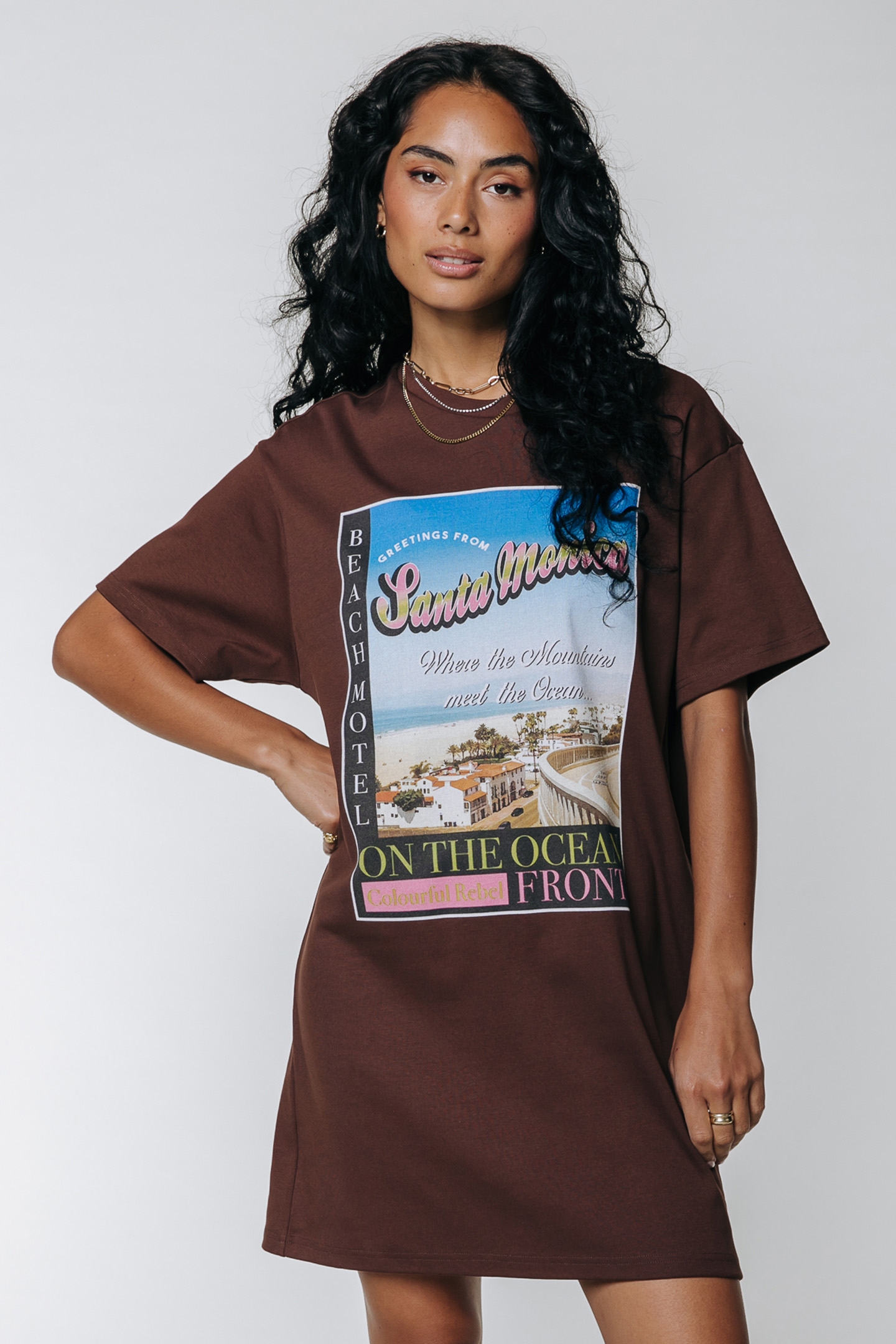 SANTA MONICA LOOSEFIT TEE DRESS BROWN 1